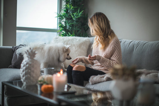 Home Humidifier in Action: Creating a Comfortable Living Environment with Optimal Humidity Levels